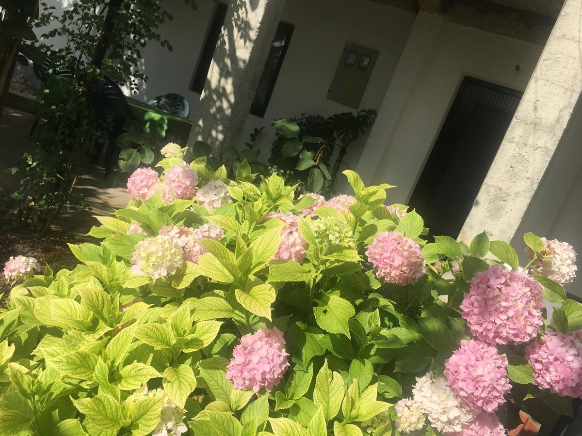 Guesthouse Star Мостар Екстер'єр фото